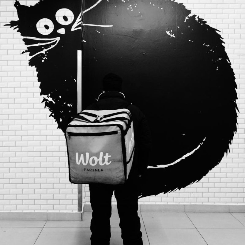 Cat Web